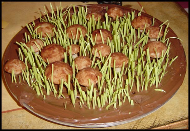 Mushroom Plate